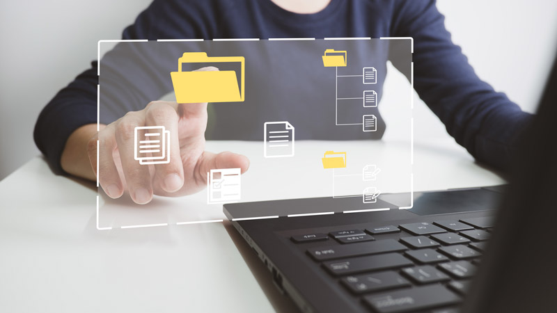 Recolección y preparación de Datos